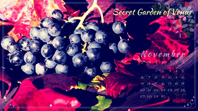 secret-garden-of-venus-1736531_640 secret-garden-of-venus-1736531_640